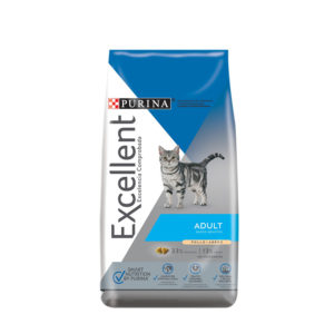 Excellent Gato Adulto