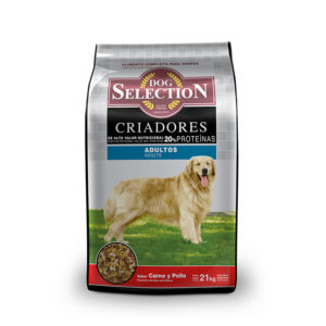 Dog Selection Adultos