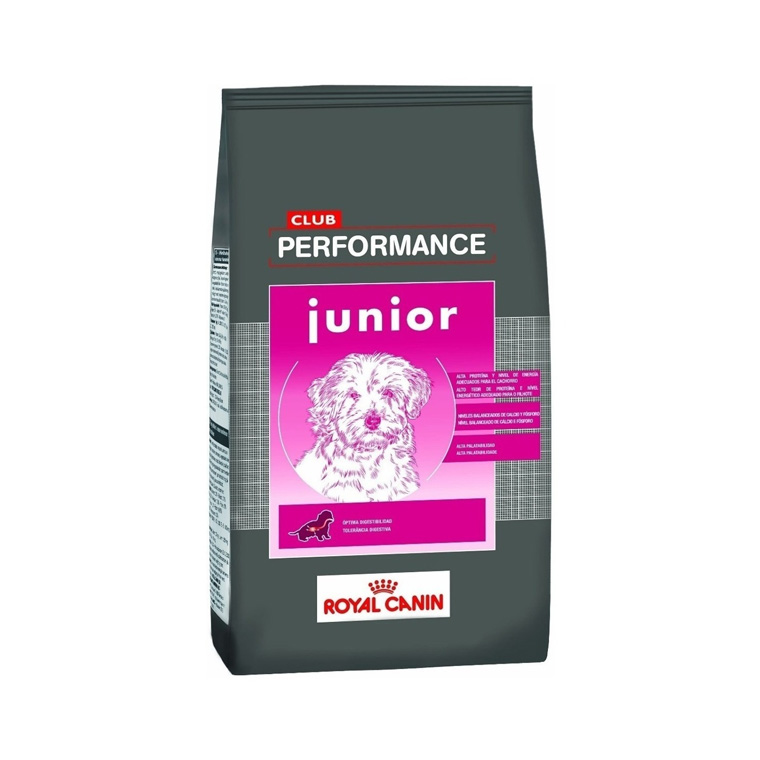 Performance Junior