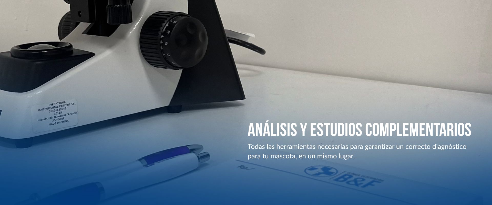 Análisis y estudios complementarios