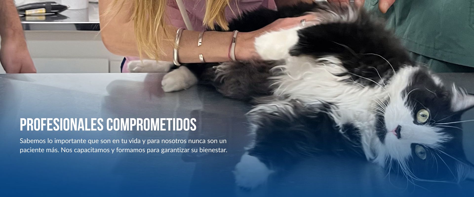 Profesionales comprometidos