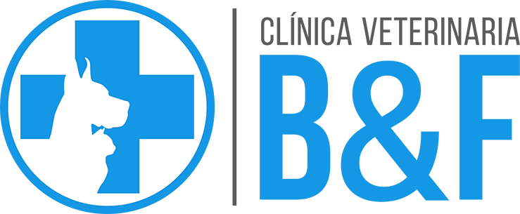 Clínica Veterinaria B&F